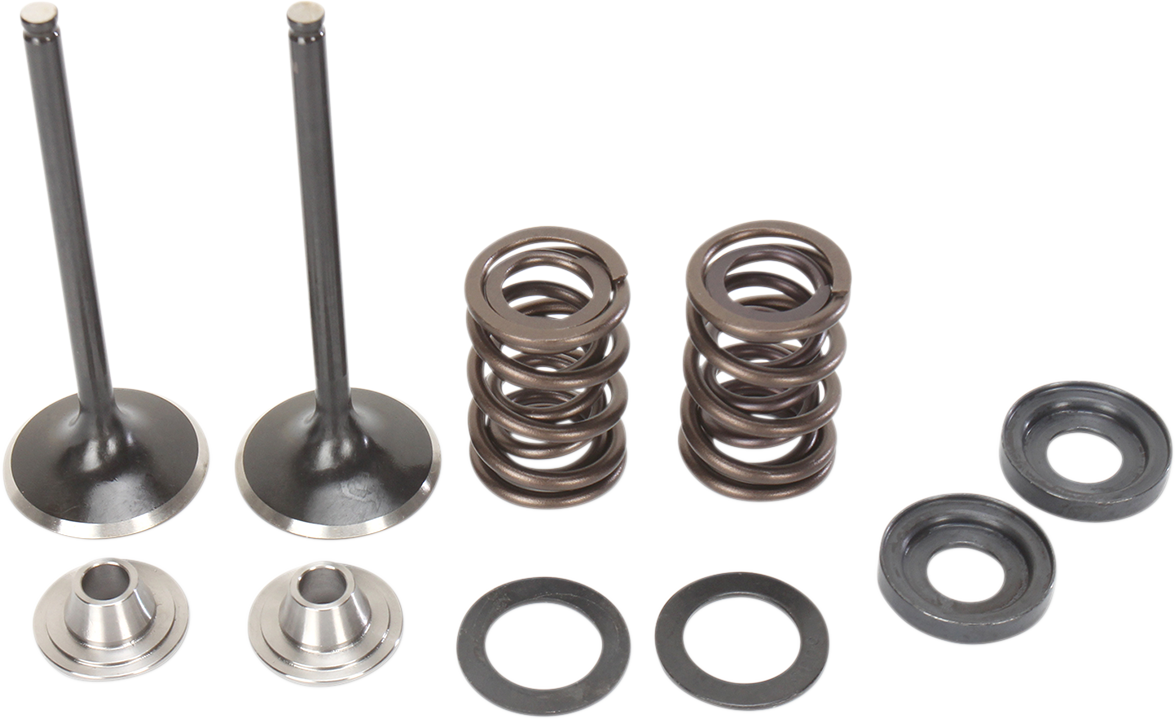 MOOSE OFFROAD Valve and Spring Kit - KTM RFS Engines 400 cc - 560 cc M96-96070