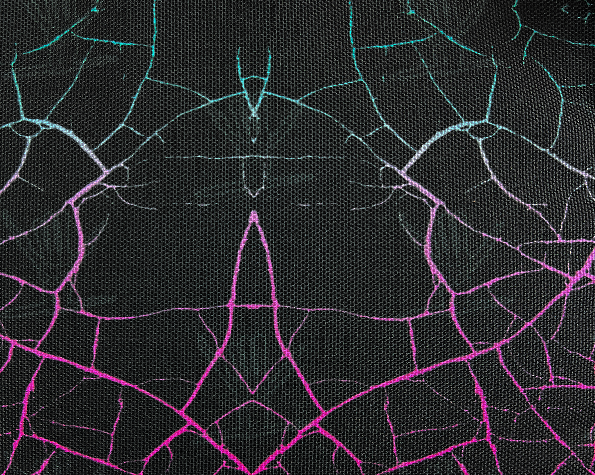 AO x SHREDDY - Cracked 24 Pack