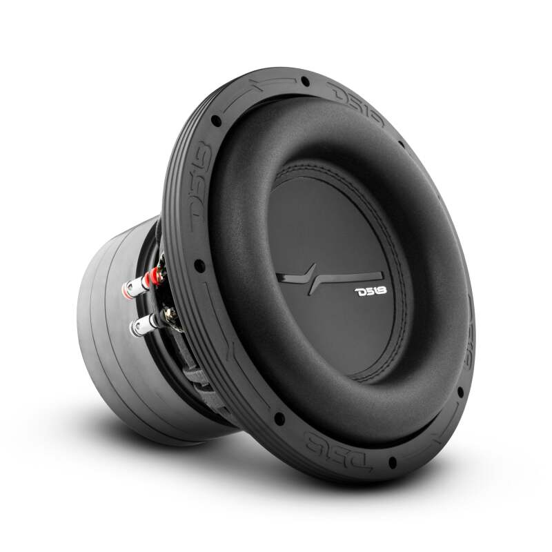 DS18 ZXI10.2D 10-Inch 800W RMS Dual 2 Ohm High Excursion Subwoofer for Car Audio