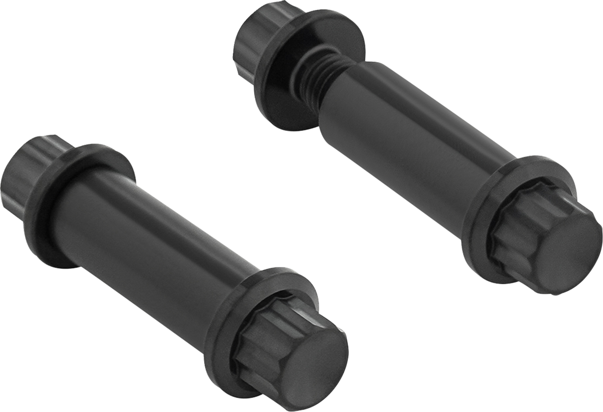 ARLEN NESS Bolt Kit - Footpeg - 12-Point - Titanium - Black 300-801