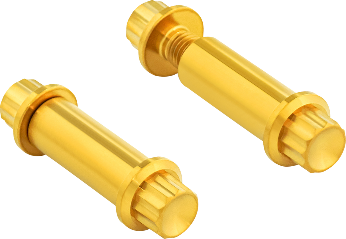 ARLEN NESS Bolt Kit - Footpeg - 12-Point - Titanium - Gold 300-802
