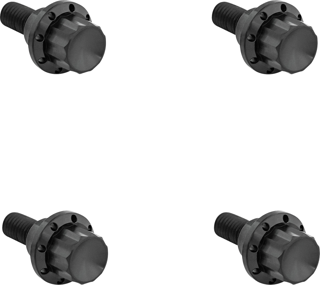 ARLEN NESS Bolt Kit - Windshield - 12-Point - Titanium - Black 300-810