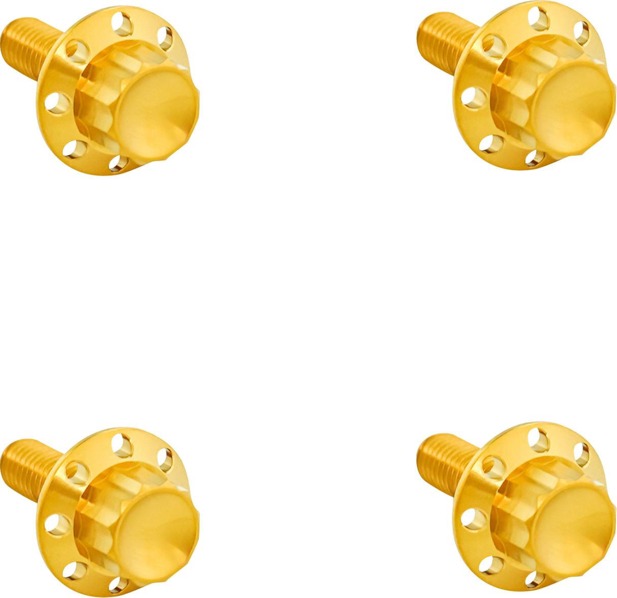 ARLEN NESS Bolt Kit - Windshield - Titanium - 12-Point - Gold 300-817