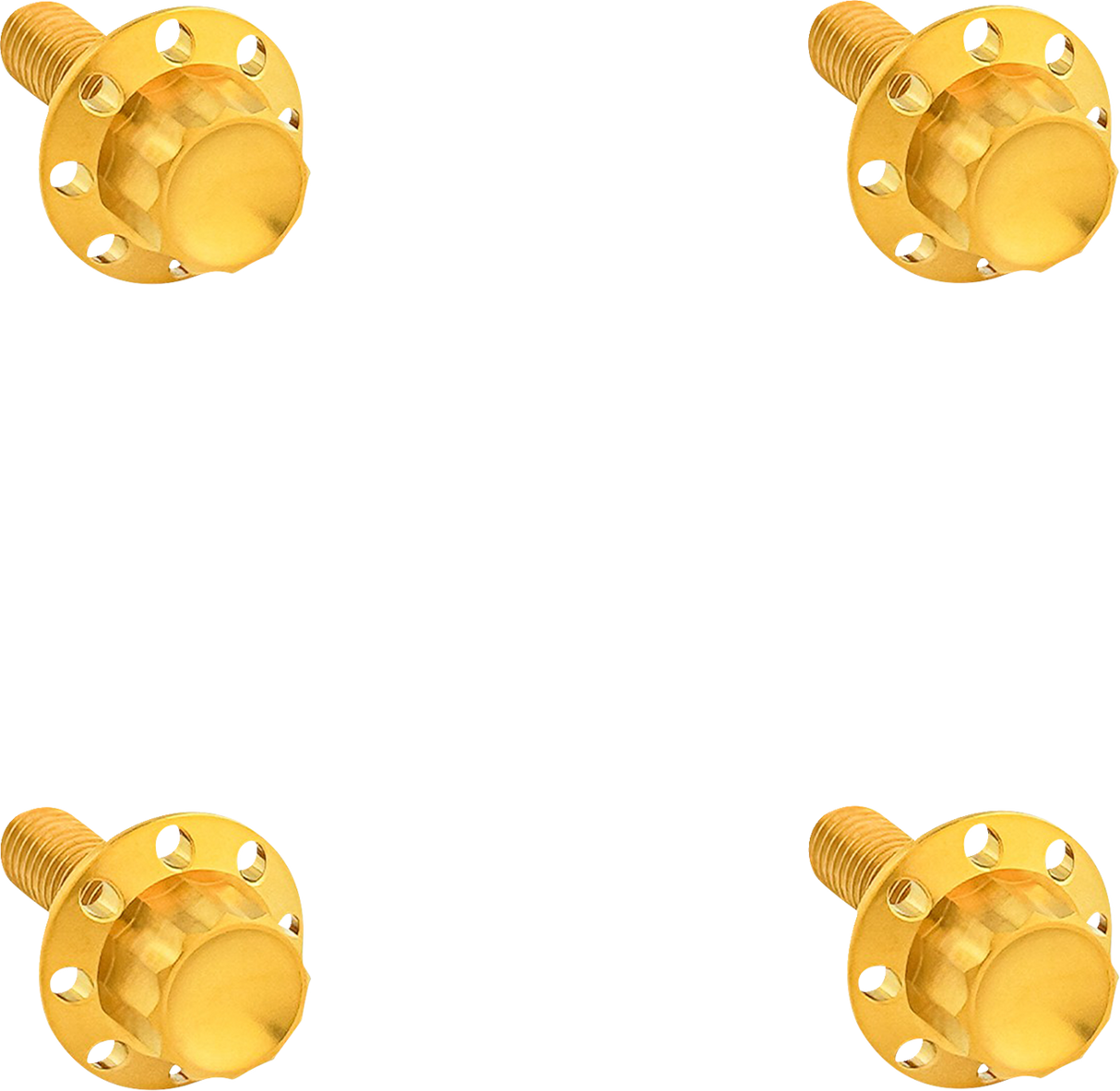 ARLEN NESS Bolt Kit - Windshield - Titanium - 12-Point - Gold 300-841