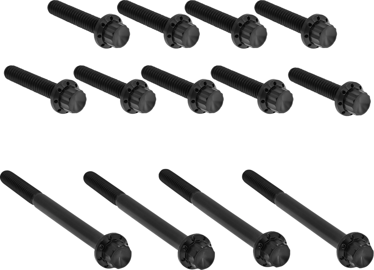 ARLEN NESS Bolt Kit - Primary Cover - Titanium - 12-Point - Twin Cam - Black 300-990