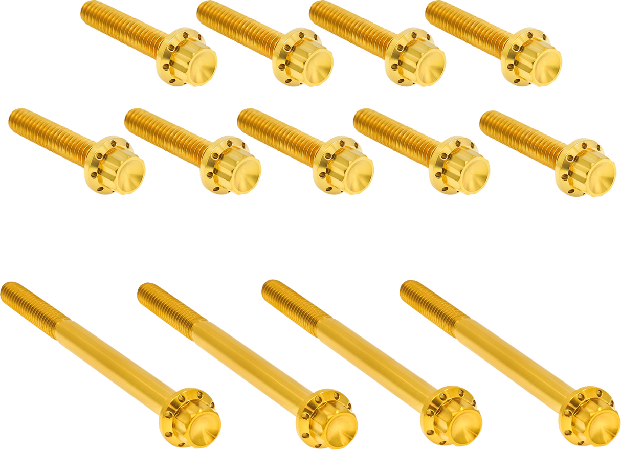 ARLEN NESS Bolt Kit - Primary Cover - Titanium - 12-Point - Twin Cam - Gold 300-991