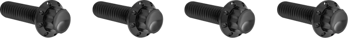 ARLEN NESS Bolt Kit - Transmission Top Cover - 12-Point - Titanium - Black 300-978