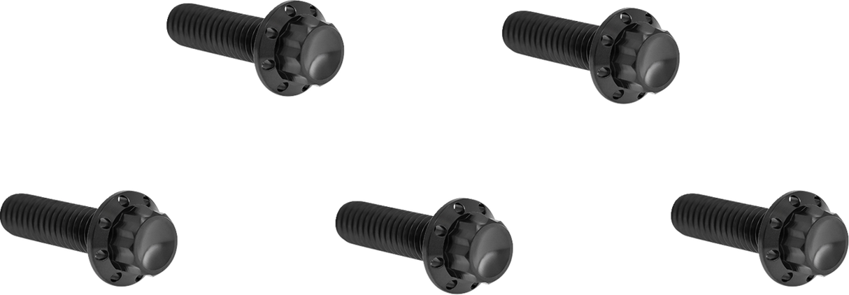 ARLEN NESS Bolt Kit - Derby Cover - 12-Point - Titanium - Black 300-924