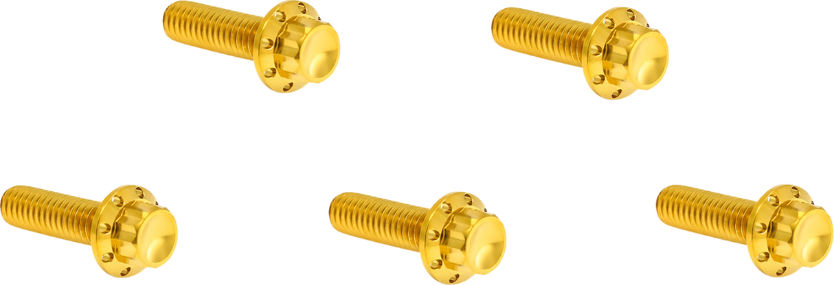 ARLEN NESS Bolt Kit - Derby Cover - 12-Point - Titanium - Gold 300-925