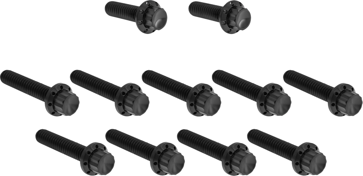 ARLEN NESS Bolt Kit - Cam Cover/Point Cover - Titanium - 12-Point - Black 300-981