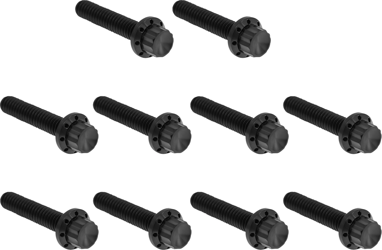 ARLEN NESS Bolt Kit - Cam Cover/Point Cover - Titanium - 12-Point - Black 300-987