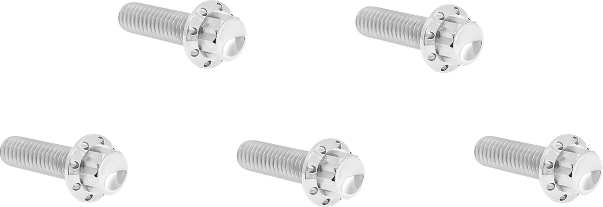 ARLEN NESS Bolt Kit - Derby Cover - 12-Point - Titanium - Polished 300-938