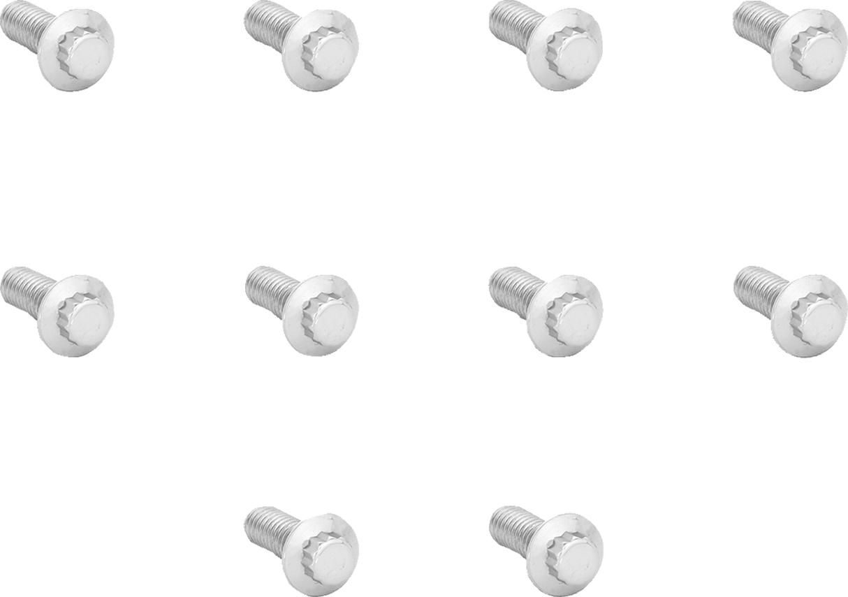 ARLEN NESS Bolt Kit - Rotor - 12-Point - Polished Stainless 01-485