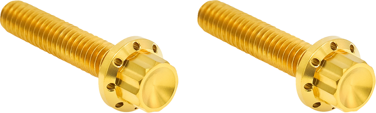 ARLEN NESS Bolt Kit - Hydraulic Clutch - Titanium - 12-Point - M8/Twin Cam - Gold 300-708