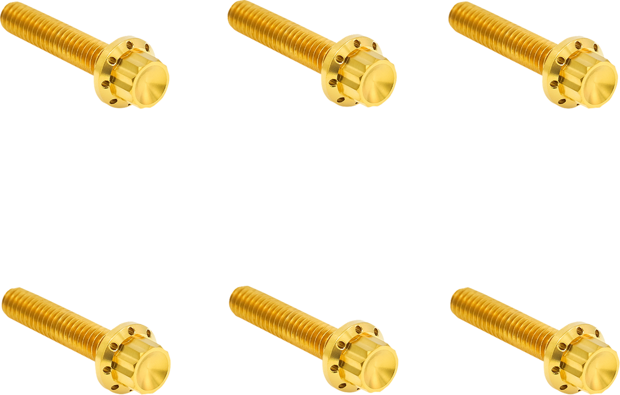 ARLEN NESS Bolt Kit - Clutch Cover - Titanium - 12-Point - M8 Gen 2 - Gold 300-702