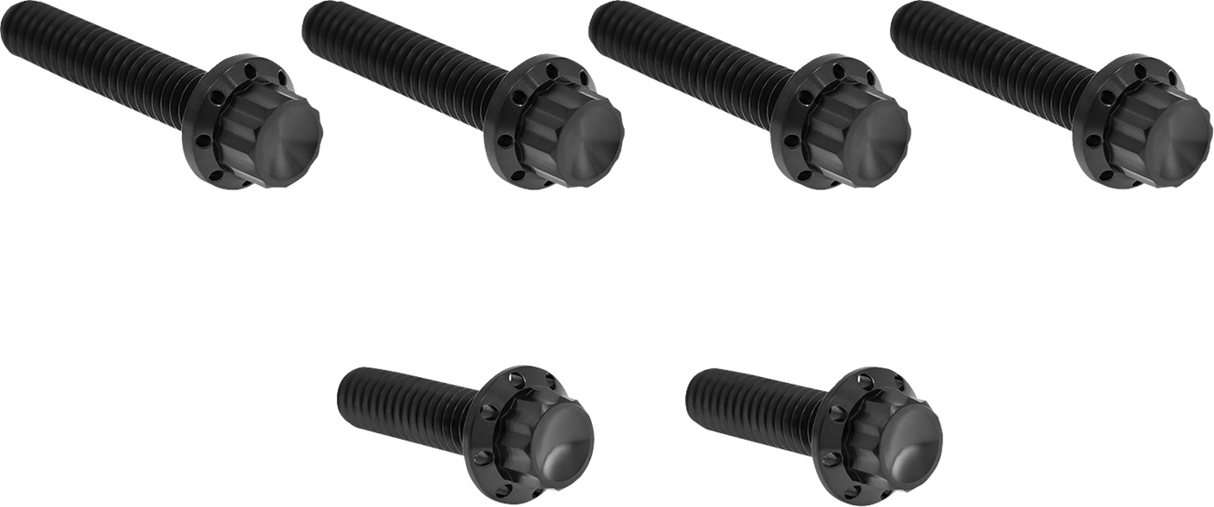 ARLEN NESS Bolt Kit - Cable Clutch - Titanium - 12-Point - M8/Twin Cam - Black 300-704