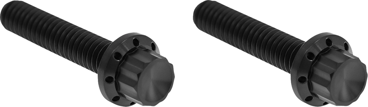 ARLEN NESS Bolt Kit - Hydraulic Clutch - Titanium - 12-Point - M8/Twin Cam - Black 300-707