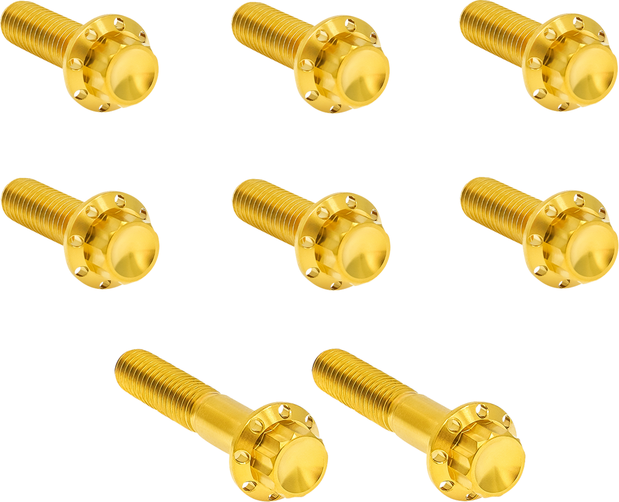 ARLEN NESS Bolt Kit - Trap Door - Titanium - 12-Point - Twin Cam/6-Speed - Gold 300-714