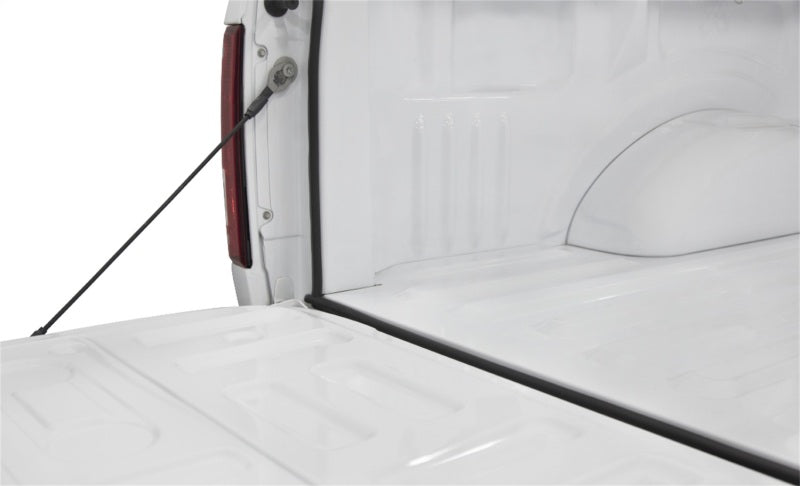 Access Accessories TRAILSEAL Tailgate Gasket Kit for All Pickup Trucks - Part Number 30946