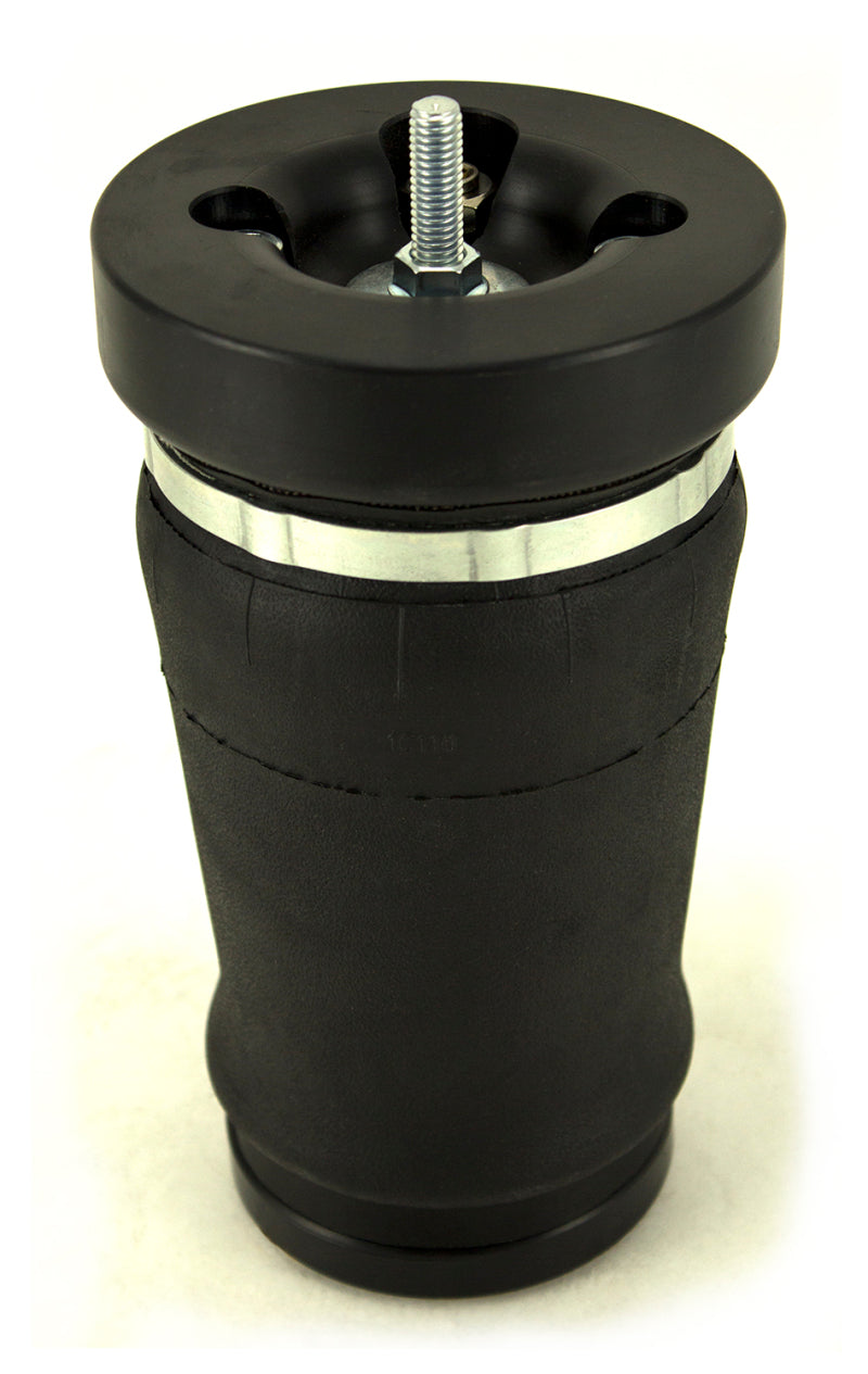 Air Lift Performance Ford Mustang Rear Air Suspension Kit (2005-2014) Part #75623