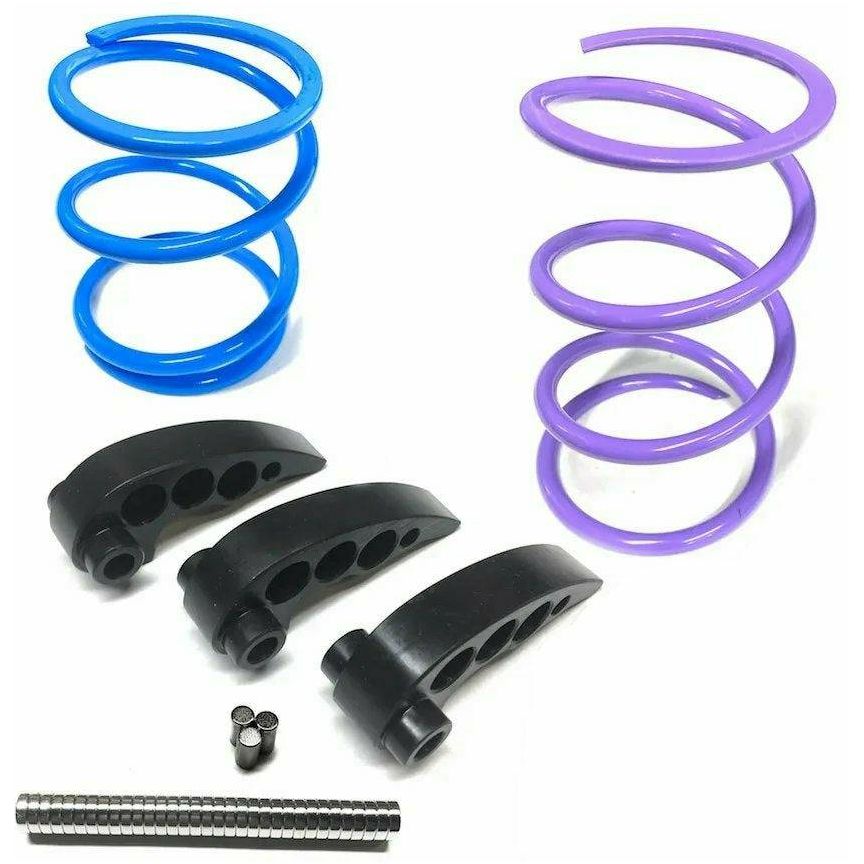 Polaris RZR RS1 Stage 2 Clutch Kit | Aftermarket Assassins