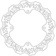 Arctic Cat Wildcat XX Ultralight Brake Rotor