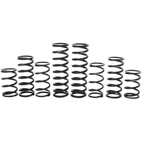 Polaris RZR Turbo R 4 Dynamics Stage 1 Spring Kit