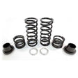 Polaris RZR XP 4 1000 / Turbo Walker Evans Tender Spring Kit