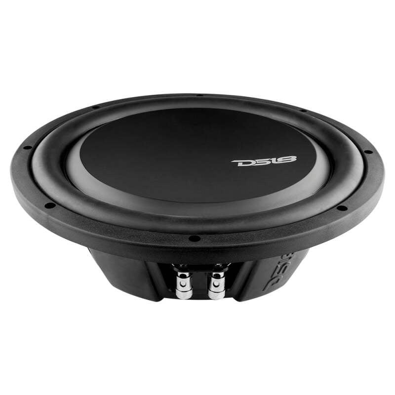 DS18 PSW12.2D 12-Inch 600W RMS Dual Voice Coil Water-Resistant Subwoofer for Automotive and Marine Use