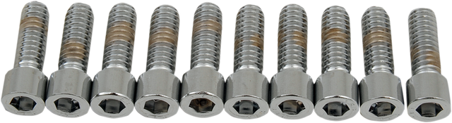 Drag Specialties MPB179S Socket-Head Coarse-Thread Bolts - 1/4-20 x 3/4 inch for Harley Davidson Motorcycles
