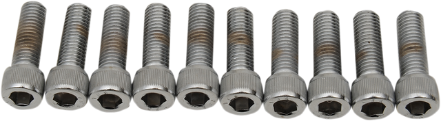 DRAG SPECIALTIES MPB211 Replacement Bolt Pack for Harley-Davidson Motorcycles (1/4"-28 x 7/8")