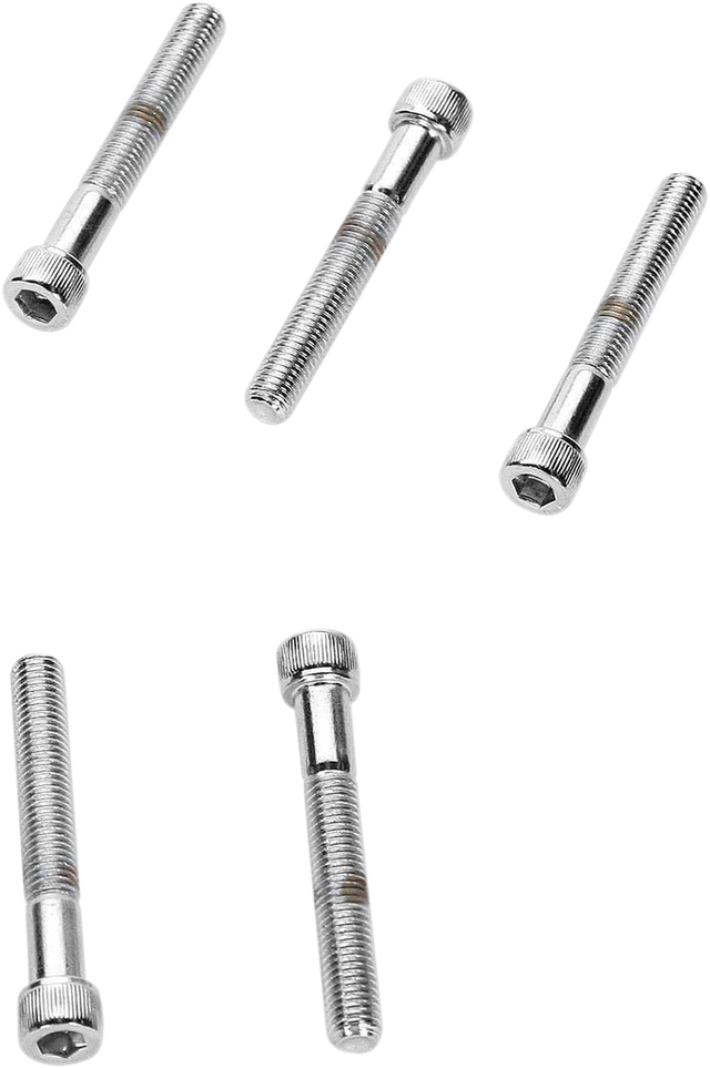 DRAG SPECIALTIES MPB283 Replacement Bolt Pack for Harley-Davidson Motorcycles - 1/4"-28 x 1-1/4" Fine Thread Socket-Head Bolts, 10 Pack