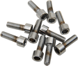 DRAG SPECIALTIES MPB190S Replacement Socket-Head Bolts for Harley-Davidson Motorcycles - 10 Pack