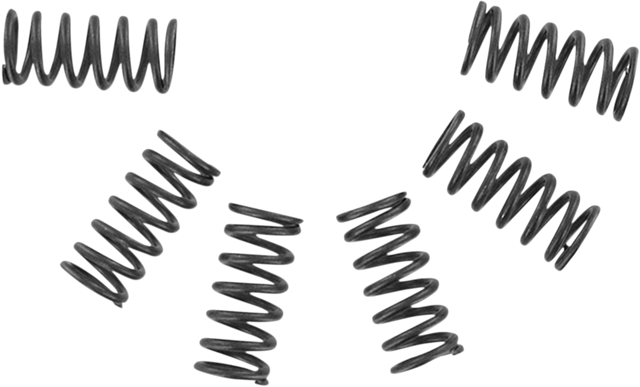 EBC Clutch Springs CSK2