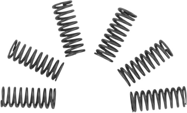 EBC Clutch Springs CSK32