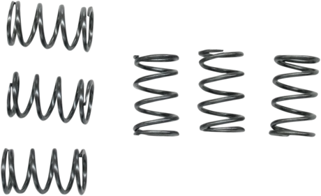 EBC Clutch Springs CSK40