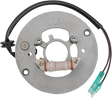 RICK'S MOTORSPORT ELECTRIC STATOR YAMAHA 21-906