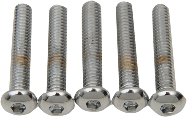 DRAG SPECIALTIES Button Head Replacement Bolts 1/4"-20 x 1-1/4" - Pack of 5 for Harley Davidson Motorcycle Models