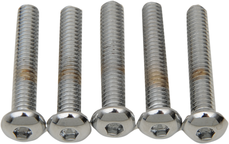 Drag Specialties MPB824 Button Head Bolts Kit for Harley-Davidson Motorcycles, 1/4"-20 x 2" Replacement Bolts, Pack of 5