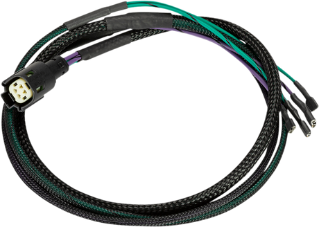 KICKER Tour Pack Harness - FL 46HDTPH for Harley-Davidson Touring Models with 2-Speaker Audio System Upgrade