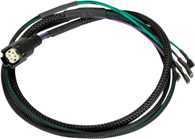 KICKER Tour Pack Harness - FL 46HDTPH for Harley-Davidson Touring Models with 2-Speaker Audio System Upgrade