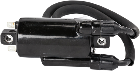 RICK'S MOTORSPORT ELECTRIC ignition Coil - Honda 23-108