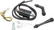 RICK'S MOTORSPORT ELECTRIC Ignition Coil - Honda 23-102