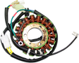 RICK'S MOTORSPORT ELECTRIC Stator - Honda 21-149