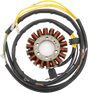 RICK'S MOTORSPORT ELECTRIC Stator 21-567