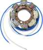 RICK'S MOTORSPORT ELECTRIC Stator - Kawasaki 21-719