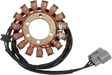 RICK'S MOTORSPORT ELECTRIC Stator - Ducati 21-032