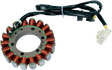 RICK'S MOTORSPORT ELECTRIC Stator - Honda 21-114
