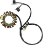 RICK'S MOTORSPORT ELECTRIC Stator - Yamaha 21-900