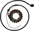 RICK'S MOTORSPORT ELECTRIC Stator - Kawasaki 21-215